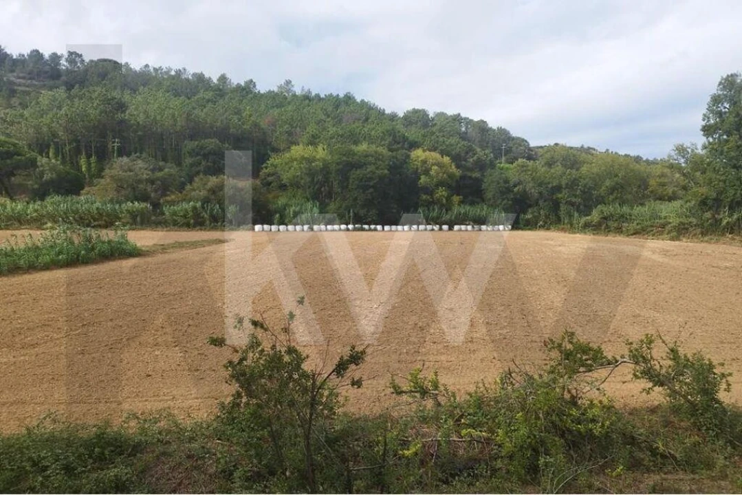 Terreno para Venda em Santo Isidoro Foto 8