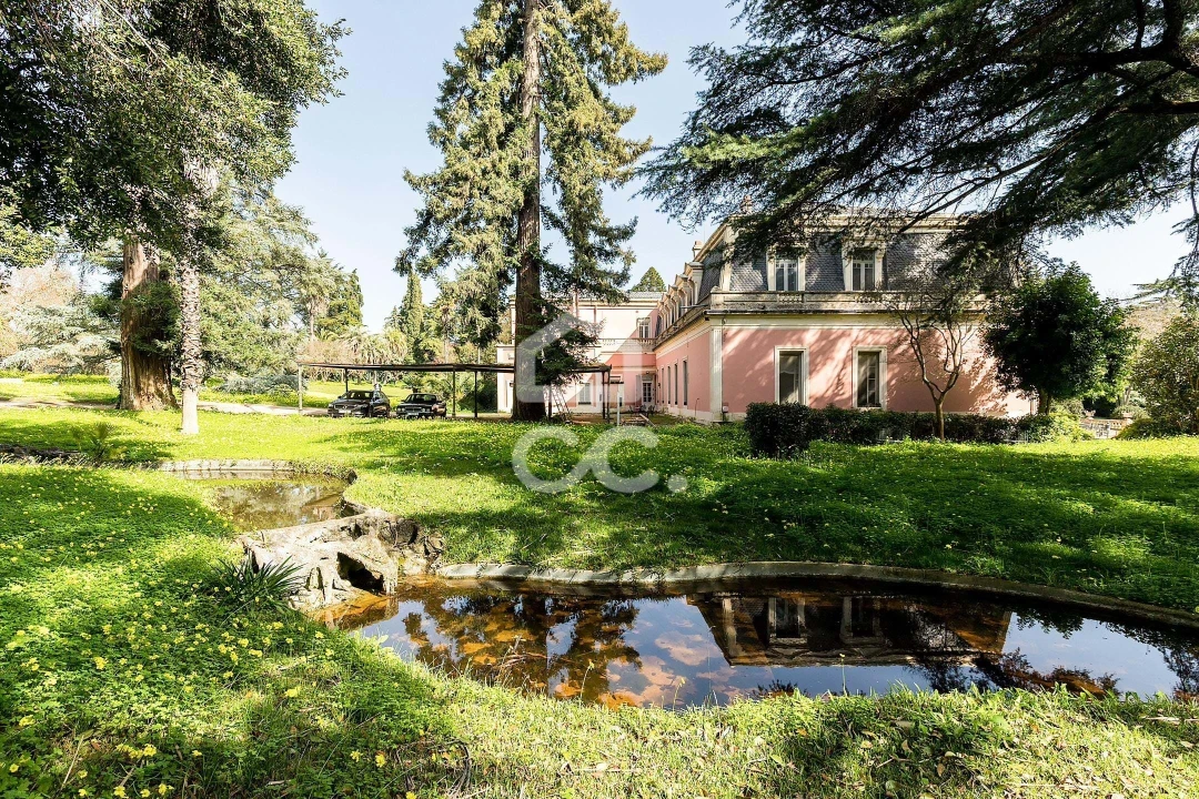 Quinta T8 para Venda em Assunção, Ajuda, Salvador e Santo Ildefonso Foto 78