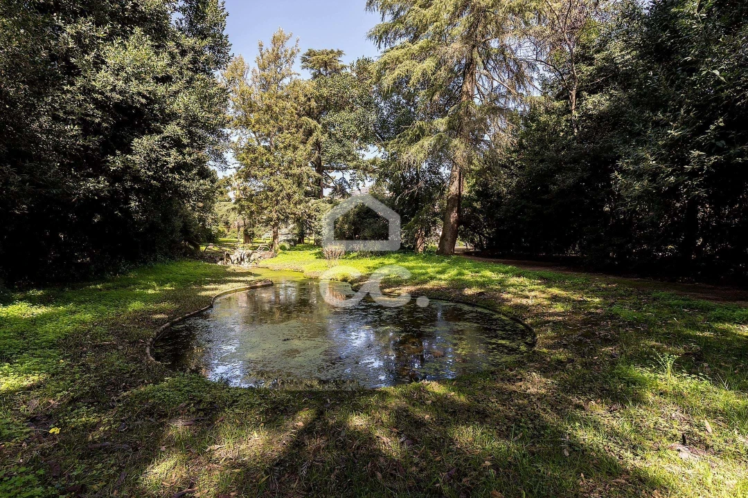 Quinta T8 para Venda em Assunção, Ajuda, Salvador e Santo Ildefonso Foto 94