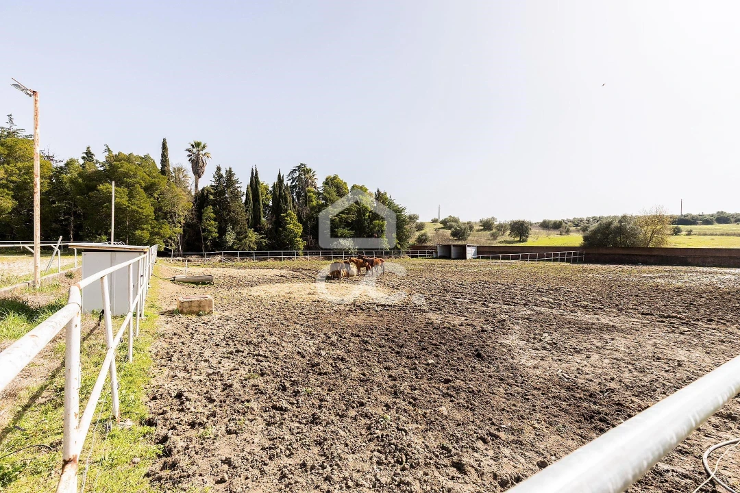 Quinta T8 para Venda em Assunção, Ajuda, Salvador e Santo Ildefonso Foto 100