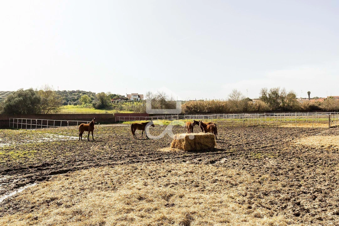 Quinta T8 para Venda em Assunção, Ajuda, Salvador e Santo Ildefonso Foto 98