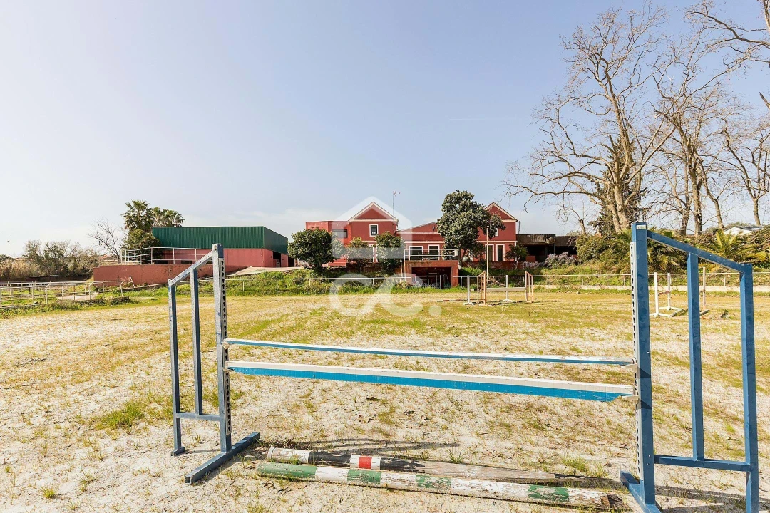 Quinta T8 para Venda em Assunção, Ajuda, Salvador e Santo Ildefonso Foto 99
