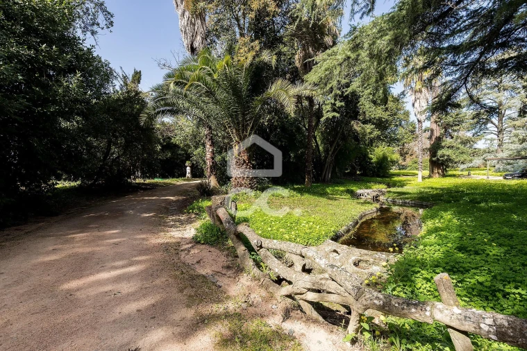 Quinta T8 para Venda em Assunção, Ajuda, Salvador e Santo Ildefonso Foto 80