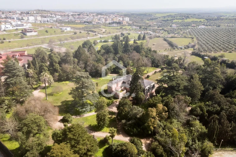 Quinta T8 para Venda em Assunção, Ajuda, Salvador e Santo Ildefonso Foto 118
