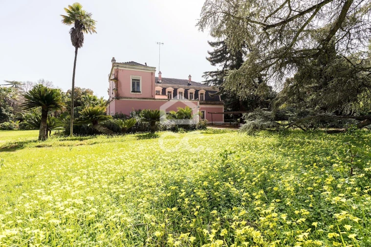 Quinta T8 para Venda em Assunção, Ajuda, Salvador e Santo Ildefonso Foto 73