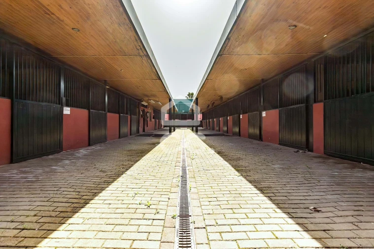 Quinta T8 para Venda em Assunção, Ajuda, Salvador e Santo Ildefonso Foto 105