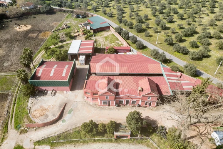 Quinta T8 para Venda em Assunção, Ajuda, Salvador e Santo Ildefonso Foto 11