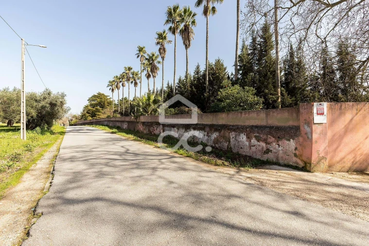Quinta T8 para Venda em Assunção, Ajuda, Salvador e Santo Ildefonso Foto 126