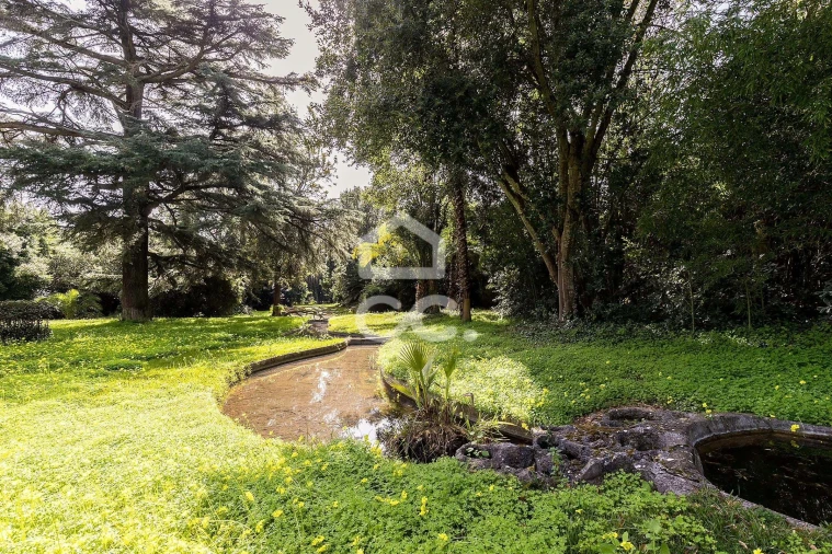 Quinta T8 para Venda em Assunção, Ajuda, Salvador e Santo Ildefonso Foto 76