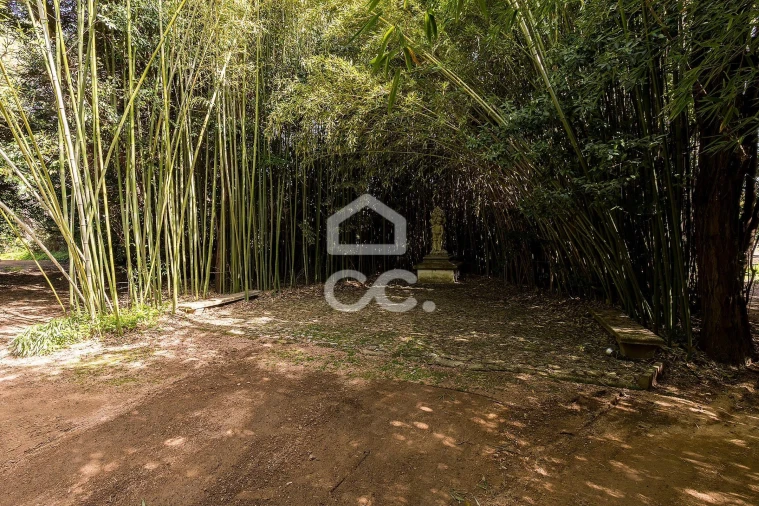 Quinta T8 para Venda em Assunção, Ajuda, Salvador e Santo Ildefonso Foto 87