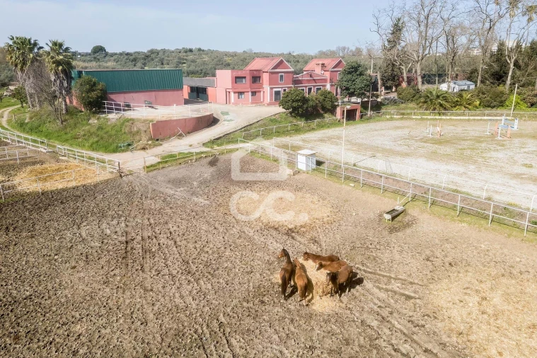 Quinta T8 para Venda em Assunção, Ajuda, Salvador e Santo Ildefonso Foto 10