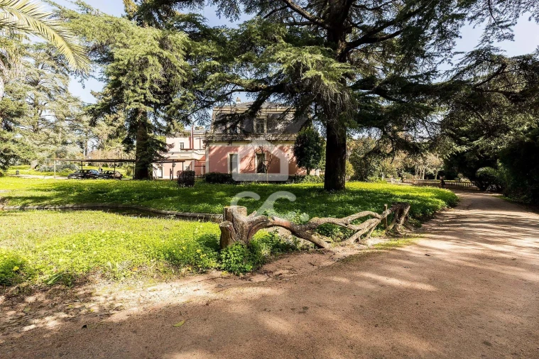 Quinta T8 para Venda em Assunção, Ajuda, Salvador e Santo Ildefonso Foto 57