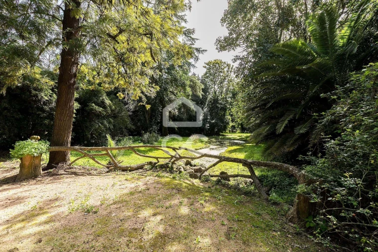 Quinta T8 para Venda em Assunção, Ajuda, Salvador e Santo Ildefonso Foto 79