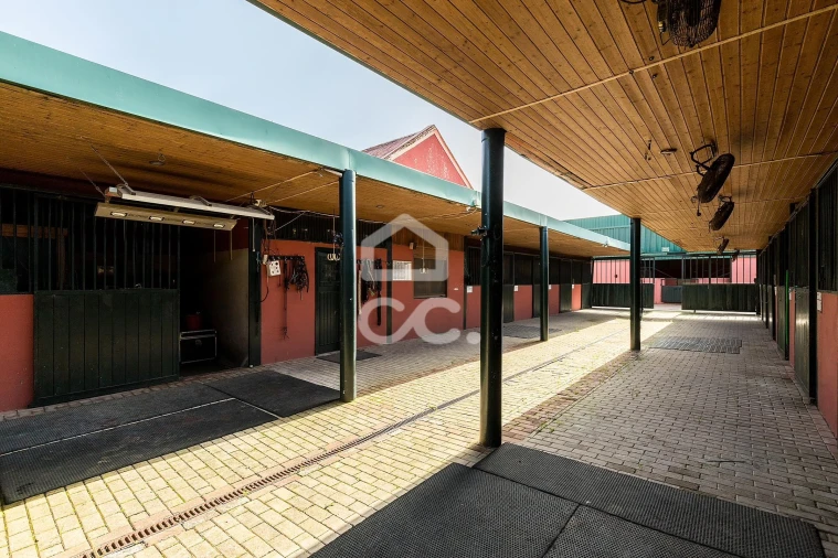 Quinta T8 para Venda em Assunção, Ajuda, Salvador e Santo Ildefonso Foto 104