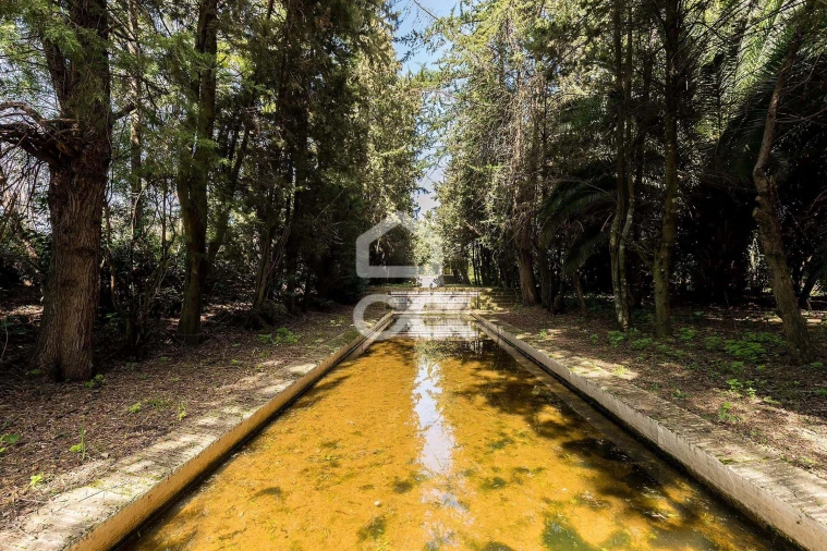 Quinta T8 para Venda em Assunção, Ajuda, Salvador e Santo Ildefonso Foto 96