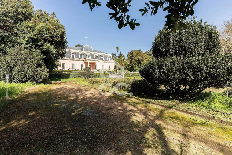 Quinta T8 para Venda em Assunção, Ajuda, Salvador e Santo Ildefonso Foto 85