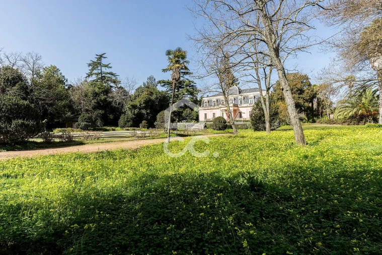 Quinta T8 para Venda em Assunção, Ajuda, Salvador e Santo Ildefonso Foto 86