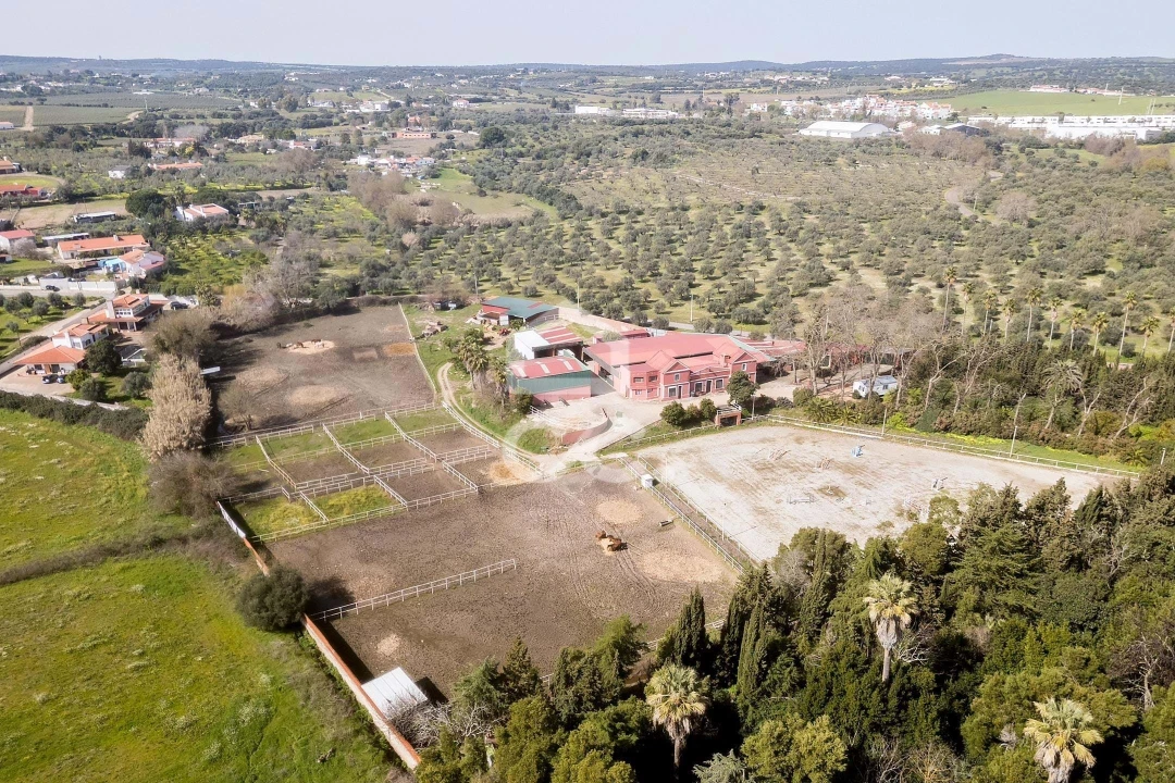 Quinta T8 para Venda em Assunção, Ajuda, Salvador e Santo Ildefonso Foto 124