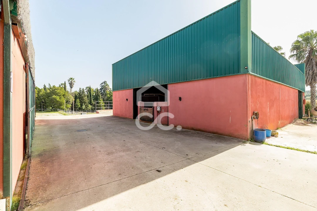 Quinta T8 para Venda em Assunção, Ajuda, Salvador e Santo Ildefonso Foto 106