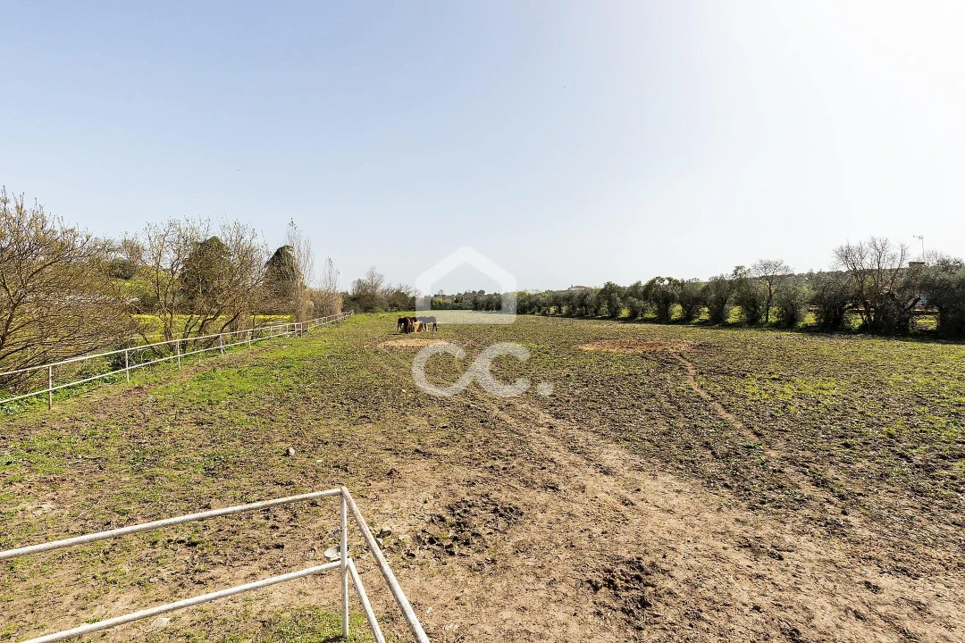 Quinta T8 para Venda em Assunção, Ajuda, Salvador e Santo Ildefonso Foto 89