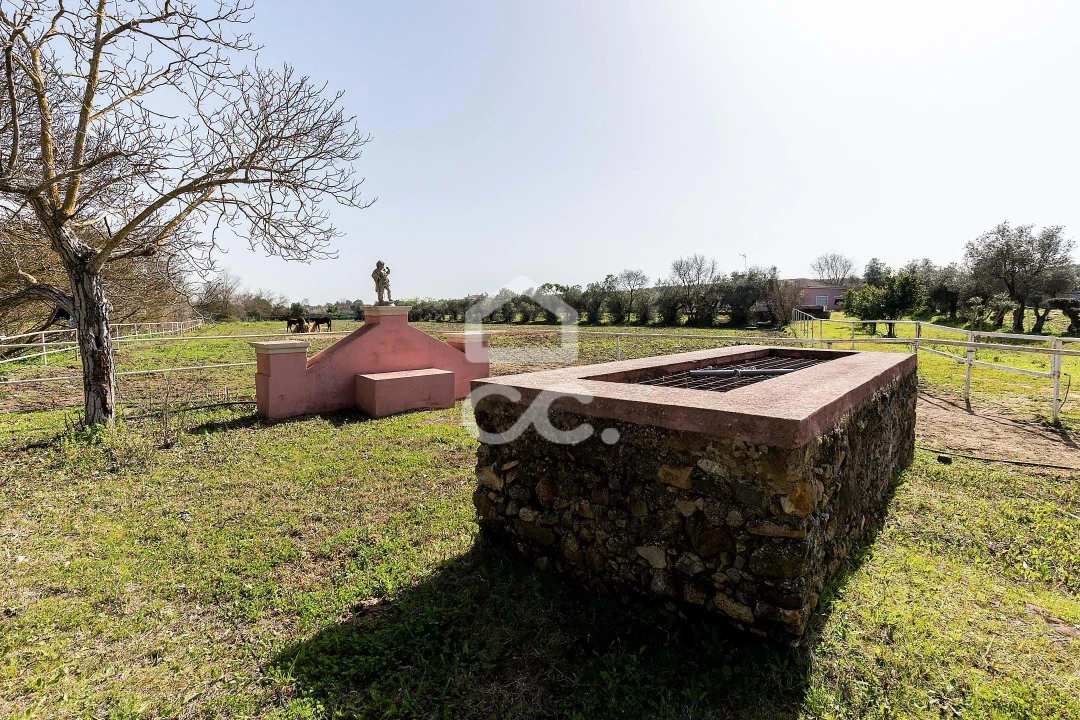 Quinta T8 para Venda em Assunção, Ajuda, Salvador e Santo Ildefonso Foto 88