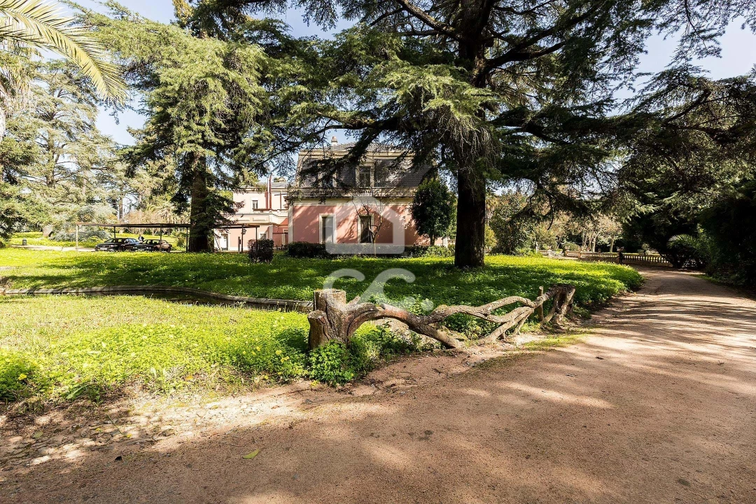 Quinta T8 para Venda em Assunção, Ajuda, Salvador e Santo Ildefonso Foto 57