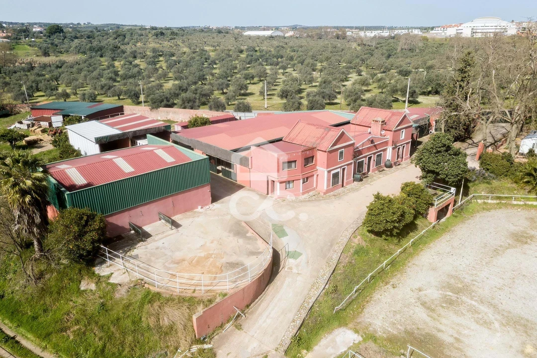 Quinta T8 para Venda em Assunção, Ajuda, Salvador e Santo Ildefonso Foto 123