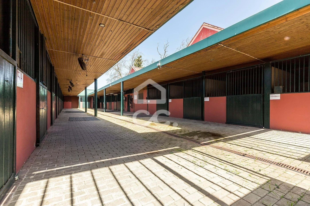 Quinta T8 para Venda em Assunção, Ajuda, Salvador e Santo Ildefonso Foto 103