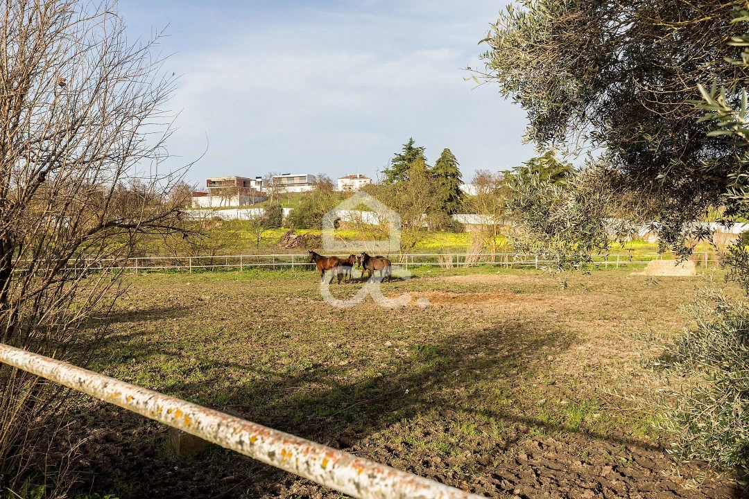 Quinta T8 para Venda em Assunção, Ajuda, Salvador e Santo Ildefonso Foto 92