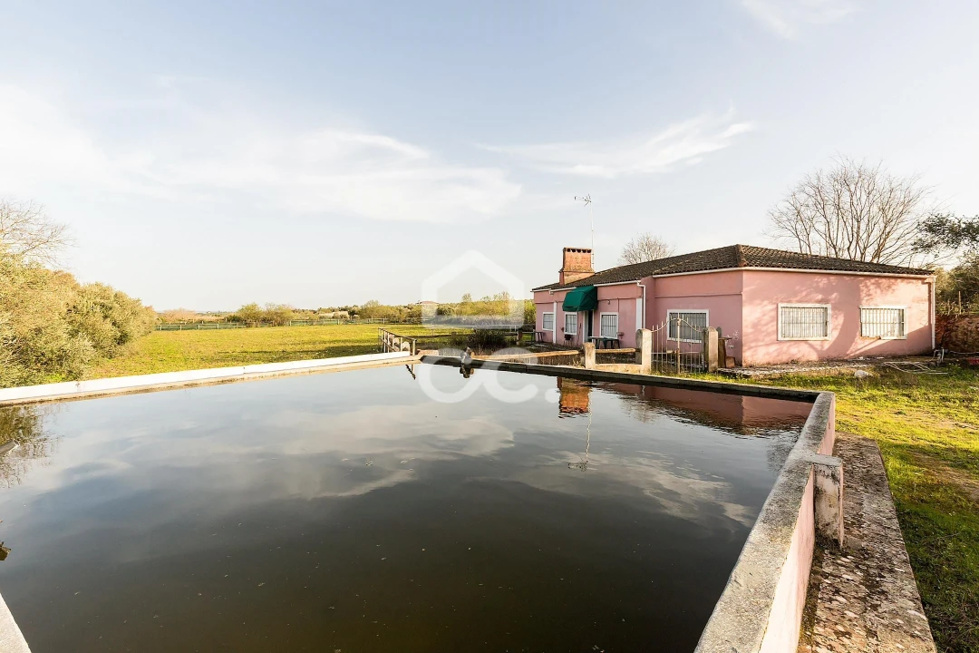 Quinta T8 para Venda em Assunção, Ajuda, Salvador e Santo Ildefonso Foto 90