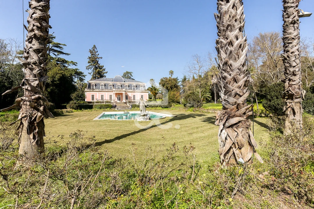 Quinta T8 para Venda em Assunção, Ajuda, Salvador e Santo Ildefonso Foto 83