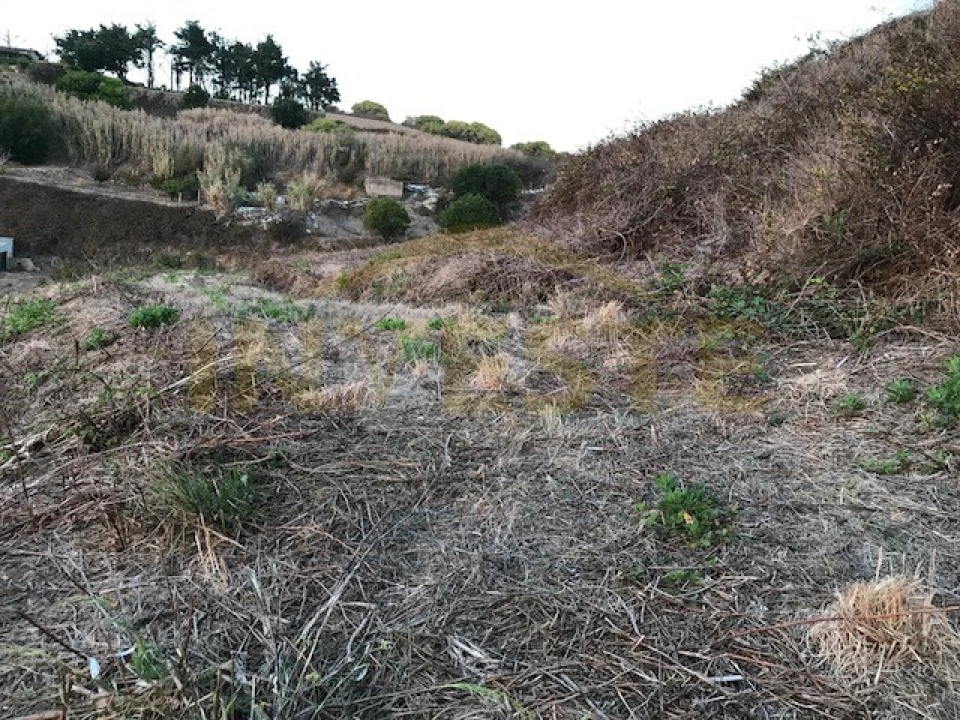 Terreno Agricola ou Rústico para Venda em Colares Foto 3