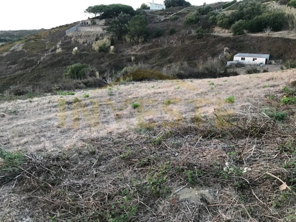 Terreno Agricola ou Rústico para Venda em Colares Foto 5
