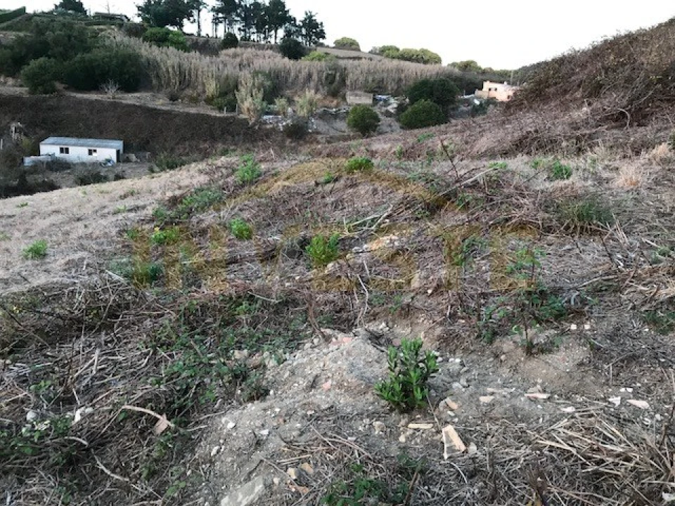 Terreno Agricola ou Rústico para Venda em Colares Foto 8