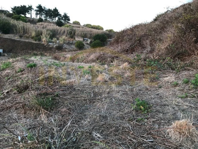 Terreno Agricola ou Rústico para Venda em Colares Foto 3