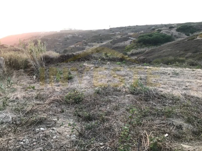 Terreno Agricola ou Rústico para Venda em Colares Foto 4