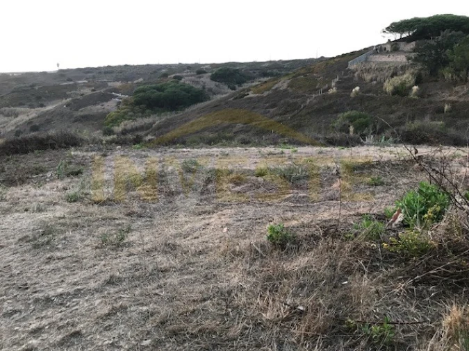 Terreno Agricola ou Rústico para Venda em Colares Foto 7