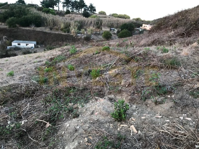 Terreno Agricola ou Rústico para Venda em Colares Foto 8