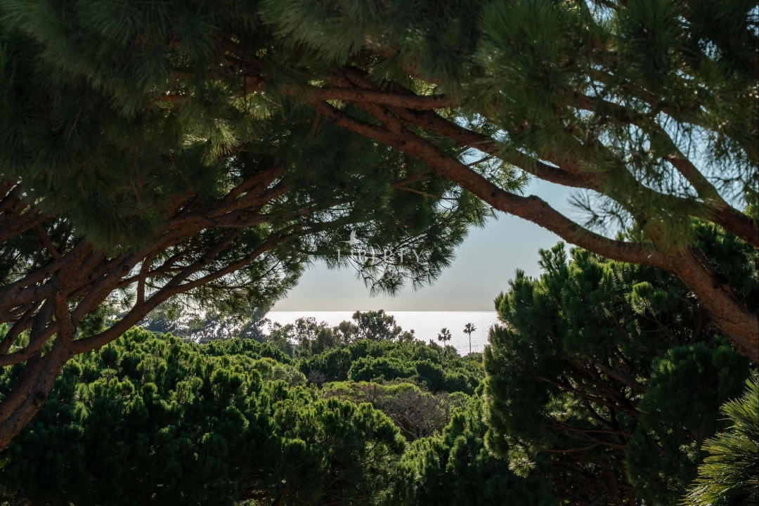 Terreno para Venda em Almancil Foto 9