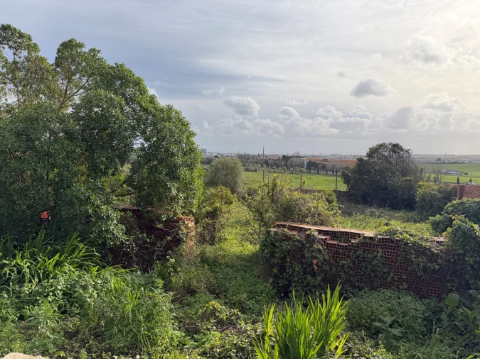 Terreno Agricola ou Rústico para Venda em Barcarena Foto 4