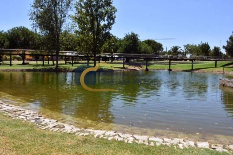 Negócio para Arrendamento em Almancil Foto 22