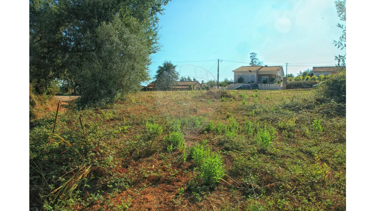 Terreno para Venda em Antuzede e Vil de Matos Foto 3