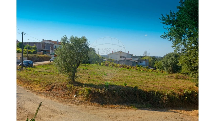 Terreno para Venda em Antuzede e Vil de Matos Foto 2