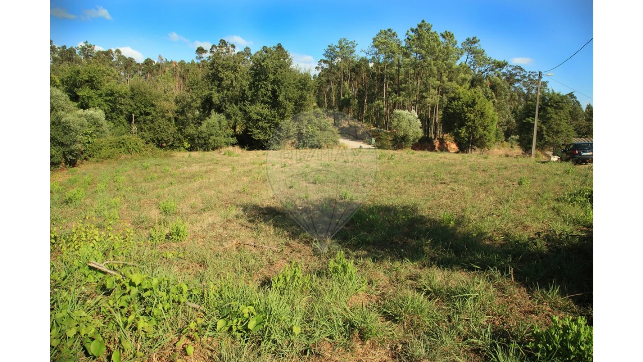 Terreno para Venda em Antuzede e Vil de Matos Foto 4