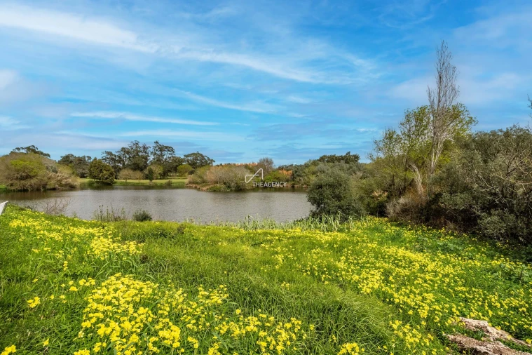Apartamento T2 para Venda em Agualva e Mira-Sintra Foto 26