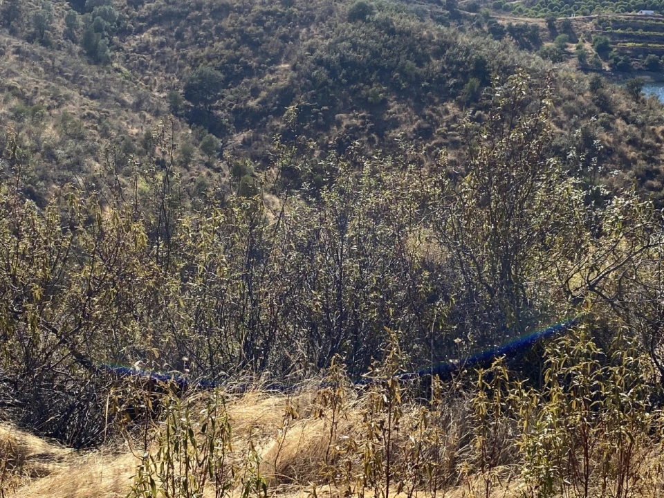 Terreno Agricola ou Rústico para Venda em Castro Marim Foto 14