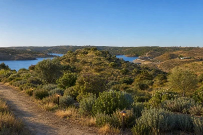 Terreno Agricola ou Rústico para Venda em Castro Marim