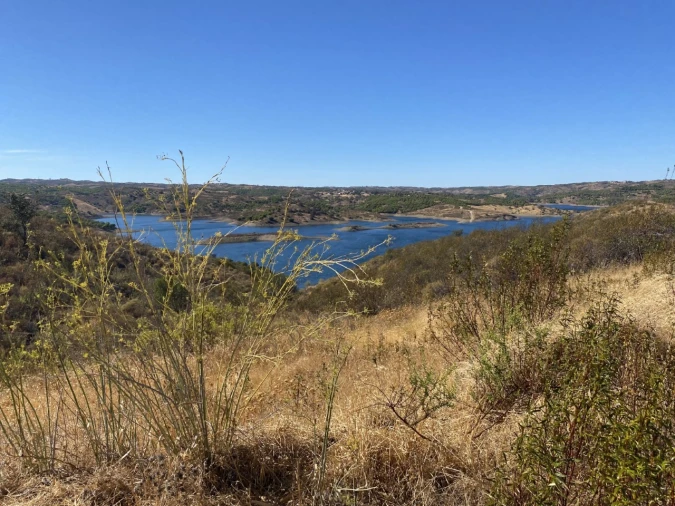 Terreno Agricola ou Rústico para Venda em Castro Marim Foto 7