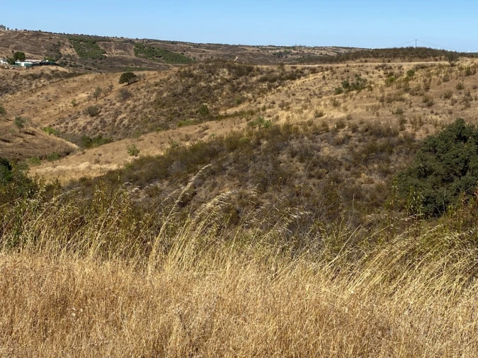 Terreno Agricola ou Rústico para Venda em Castro Marim Foto 10
