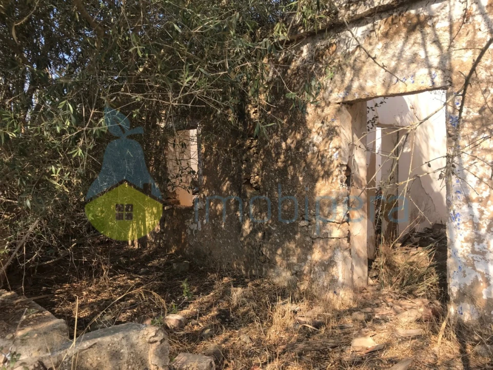 Terreno Misto para Venda em Algoz e Tunes Foto 9